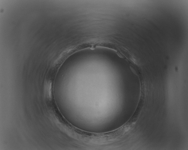 X0000053090024200507181730