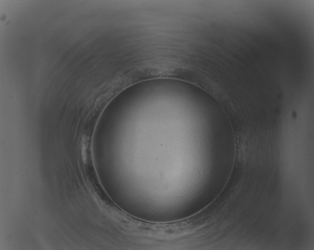 X0000053090026200507181730