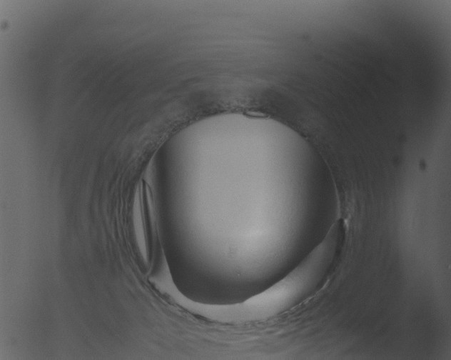 X0000053090029200507181730