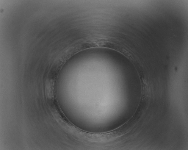 X0000053090030200507181730