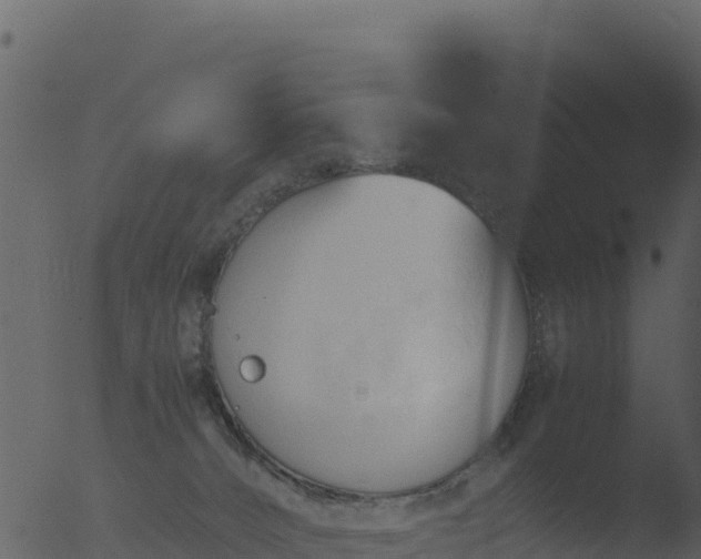 X0000053090032200507181730