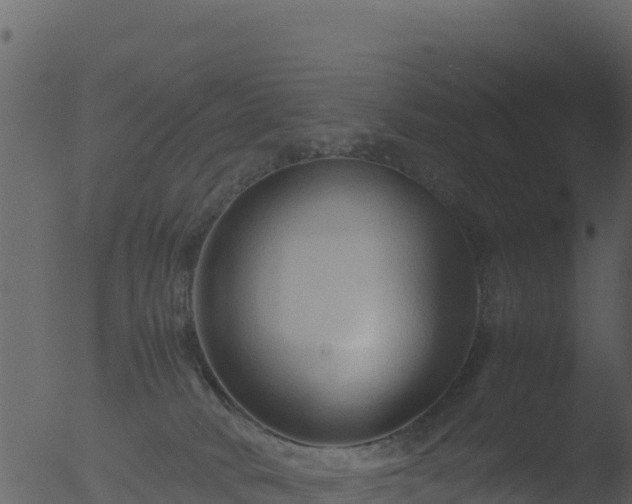 X0000053090034200507181730