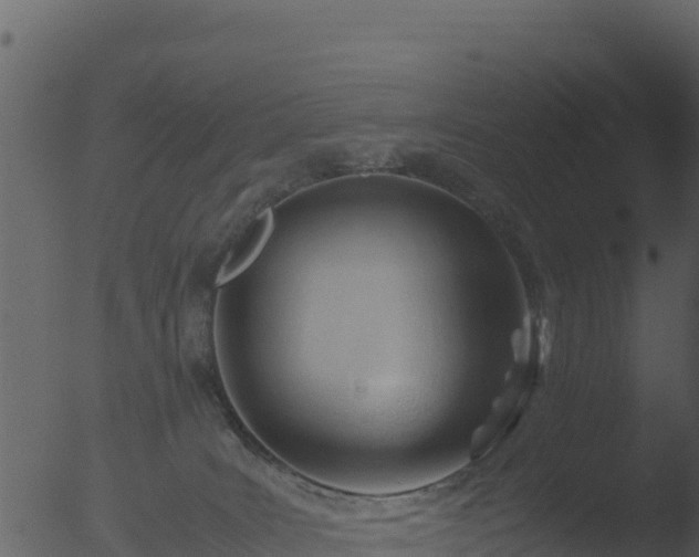 X0000053090035200507181730