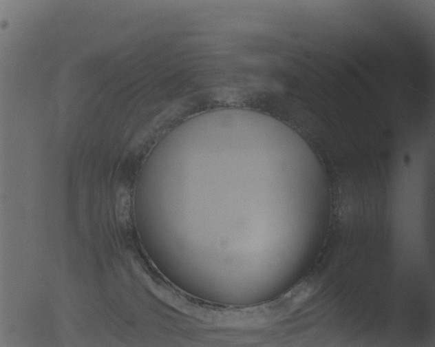 X0000053090036200507181730