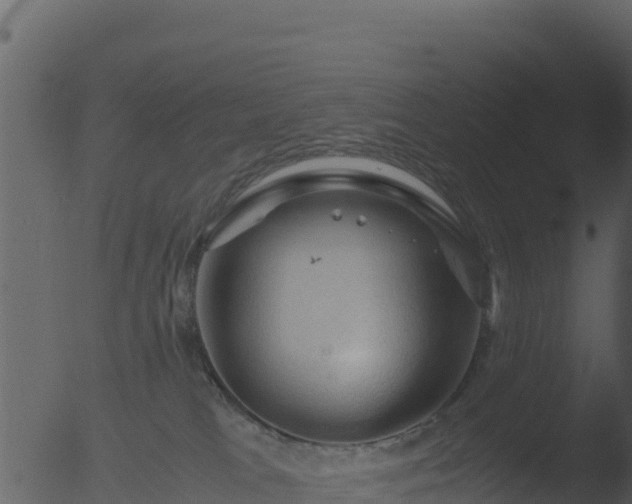 X0000053090037200507181730