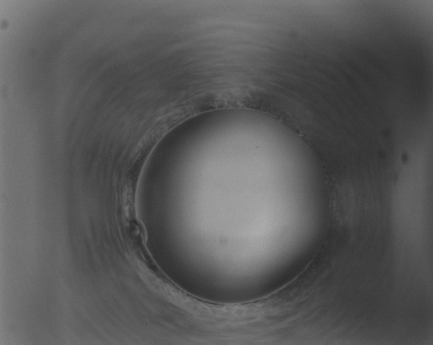 X0000053090038200507181730