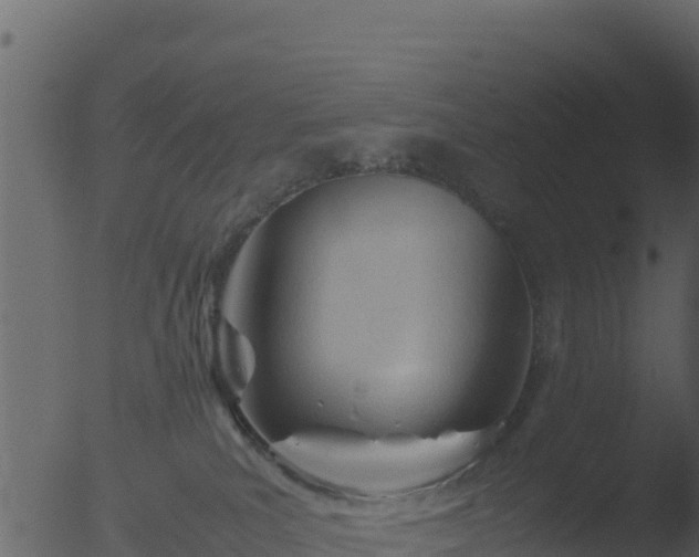 X0000053090039200507181730