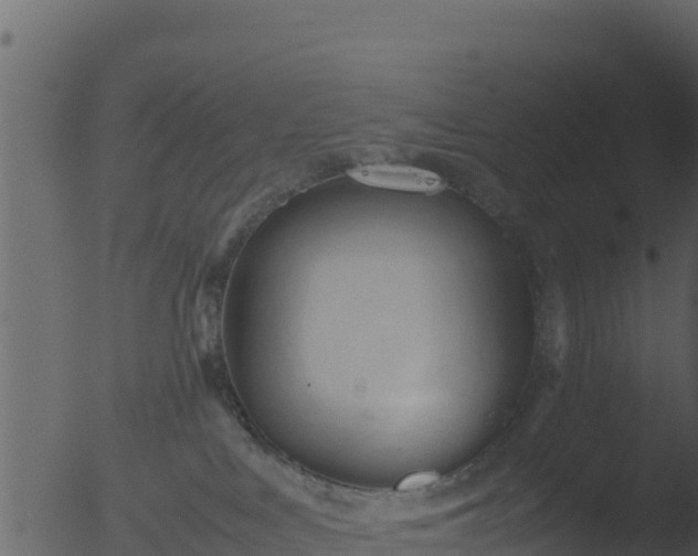 X0000053090043200507181730