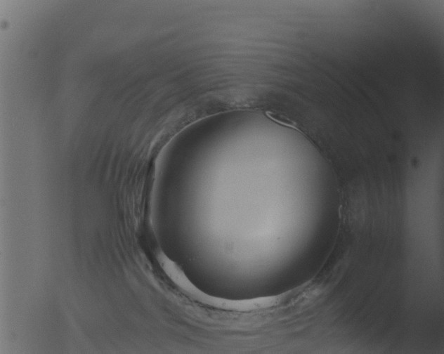 X0000053090044200507181730