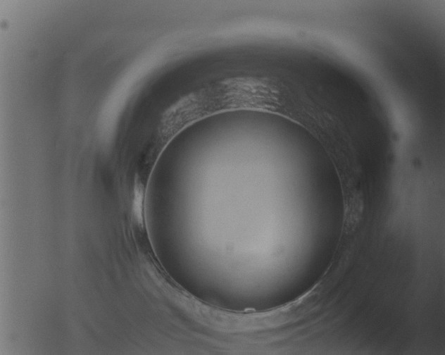 X0000053090047200507181730