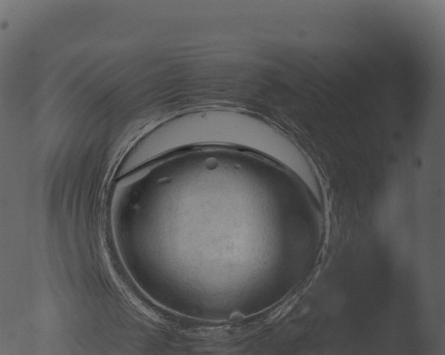 X0000053090049200507181729