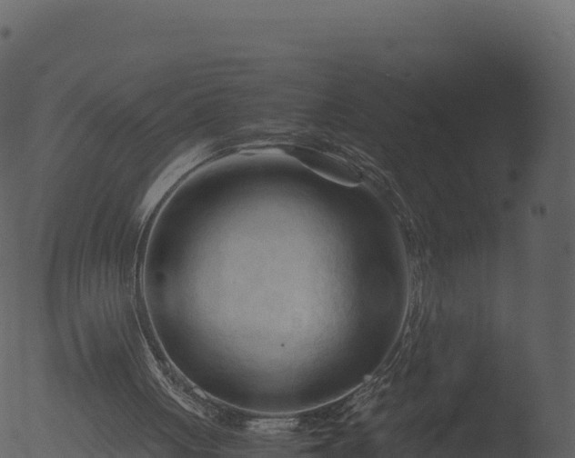 X0000053090051200507181729