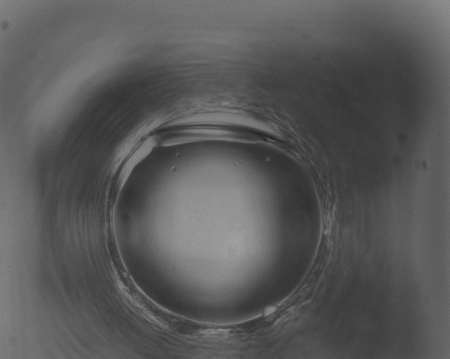 X0000053090052200507181729