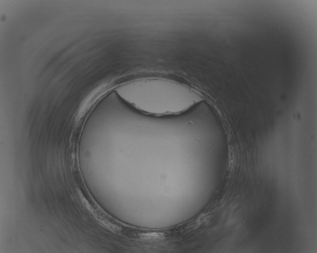 X0000053090053200507181729