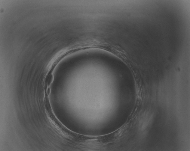 X0000053090054200507181729