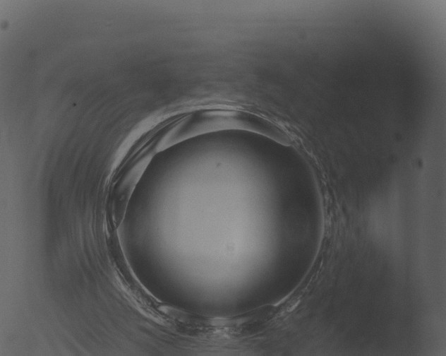 X0000053090056200507181729