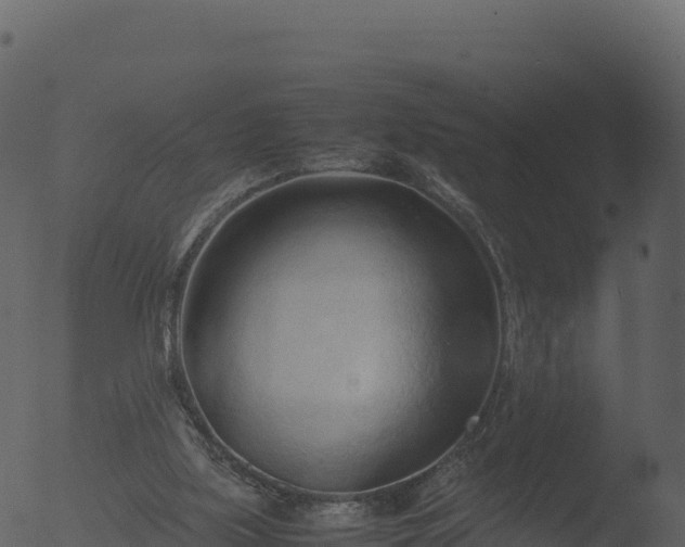 X0000053090059200507181729