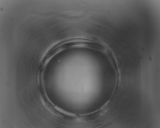 X0000053090060200507181729