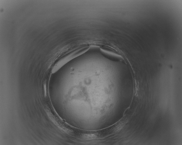 X0000053090061200507181729