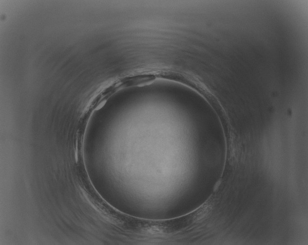 X0000053090062200507181729