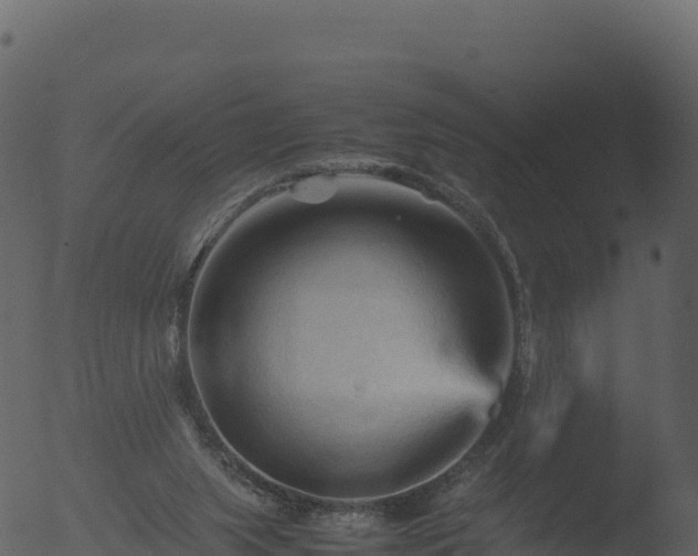 X0000053090063200507181729