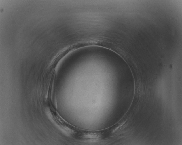 X0000053090064200507181729