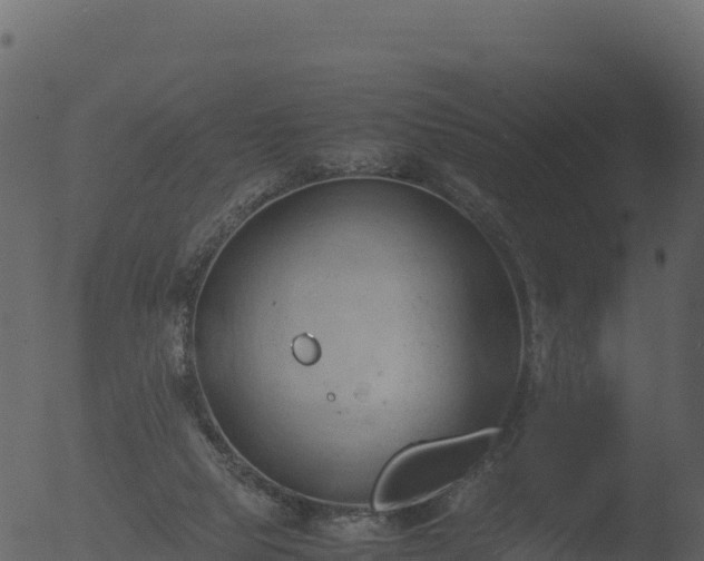 X0000053090065200507181729