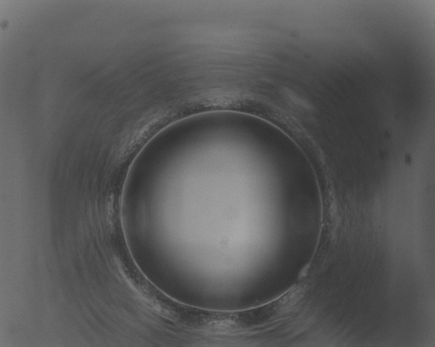 X0000053090066200507181729