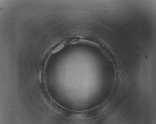 X0000053090067200507181729