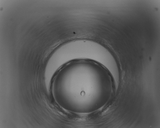 X0000053090068200507181729