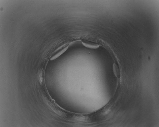 X0000053090069200507181729