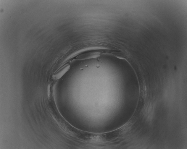 X0000053090070200507181729