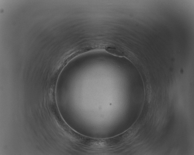 X0000053090071200507181730