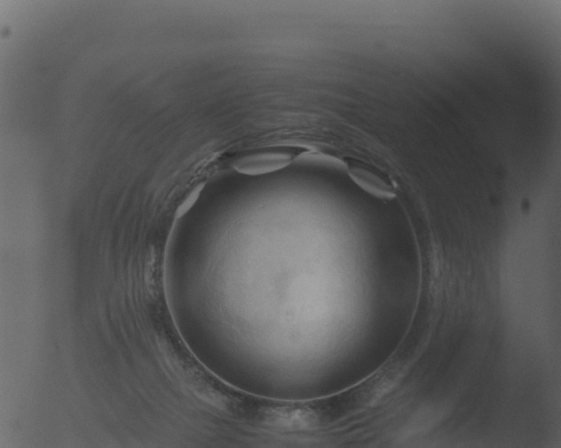 X0000053090073200507181730