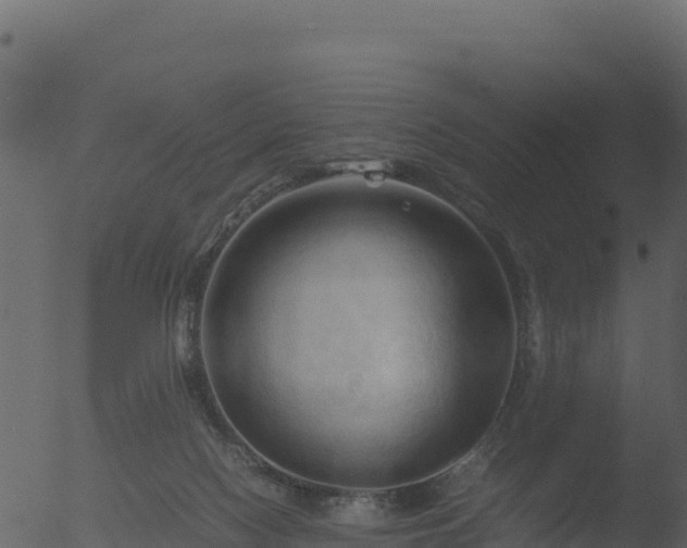 X0000053090074200507181730