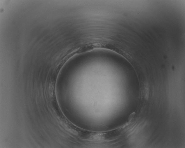 X0000053090078200507181730