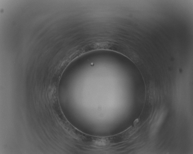 X0000053090079200507181730