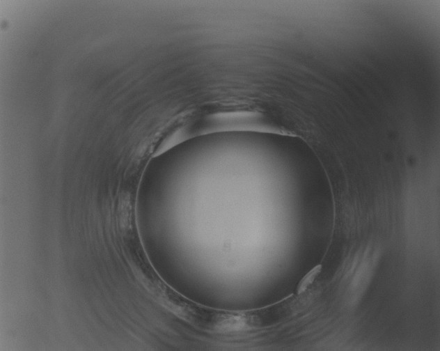 X0000053090083200507181730