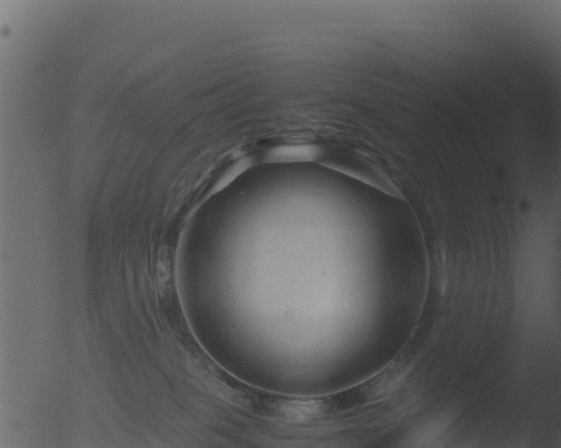 X0000053090085200507181730