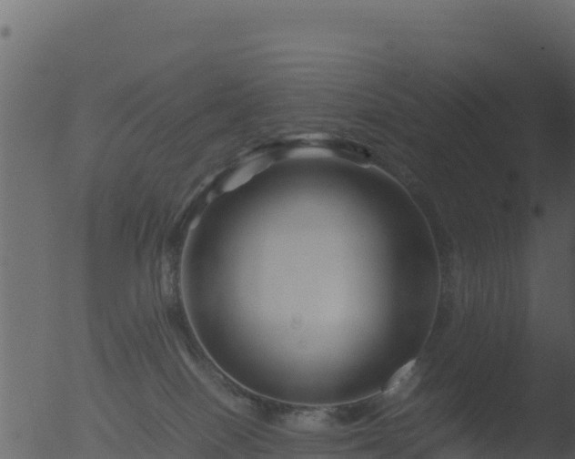 X0000053090086200507181730