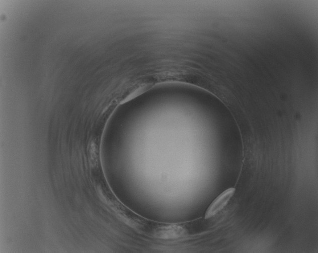 X0000053090087200507181730