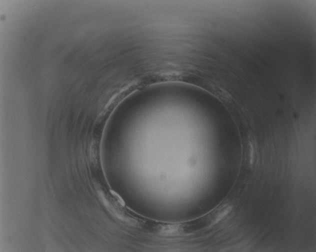 X0000053090088200507181730