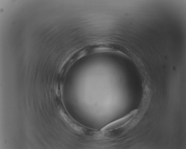 X0000053090096200507181730