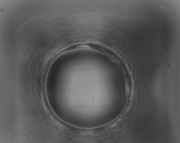 X0000053090097200507181729