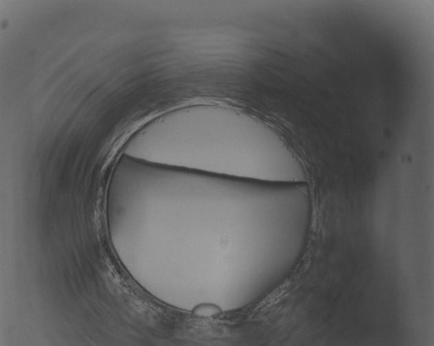 X0000053090098200507181729