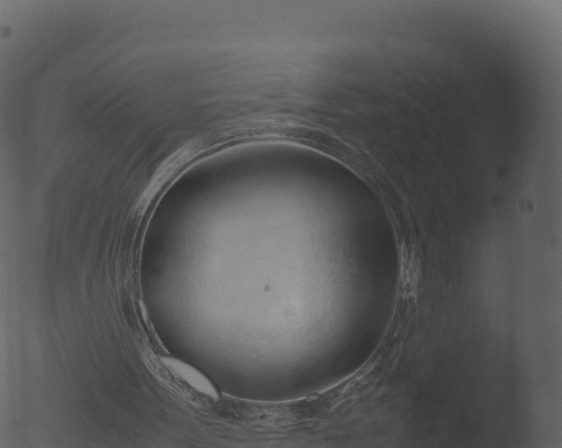 X0000053090099200507181729