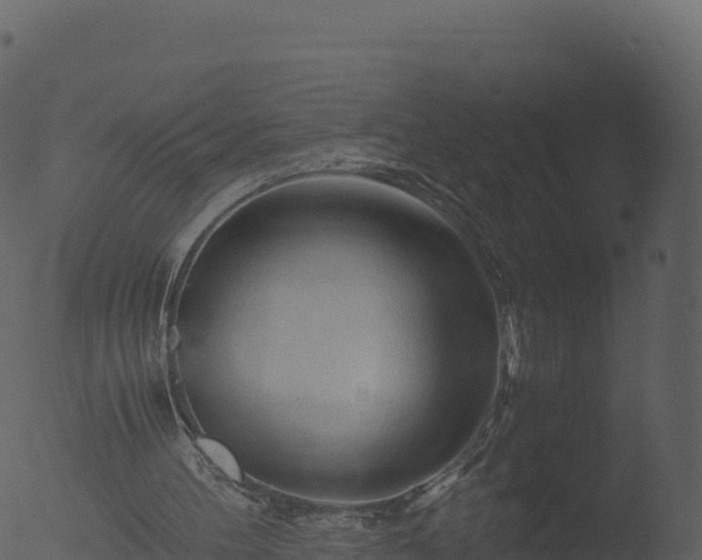 X0000053090100200507181729