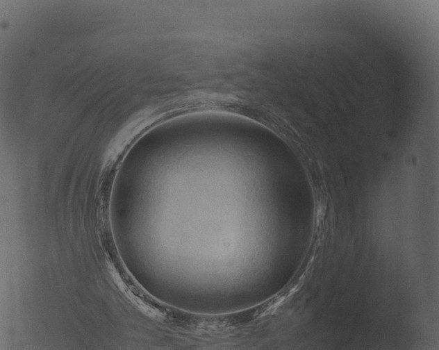 X0000053090101200507181729