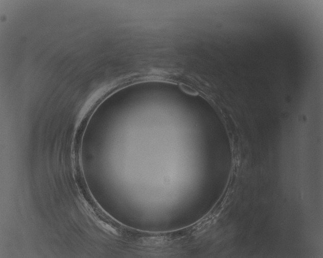 X0000053090102200507181729