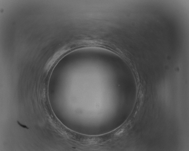 X0000053090103200507181729